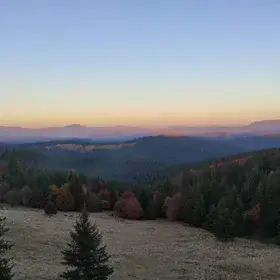 Autumn colors at dusk
